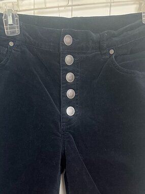 CAbi ButtonFly Blue Skinny Cords